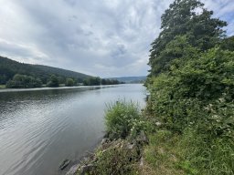 Mainschwimmen Juni 2026